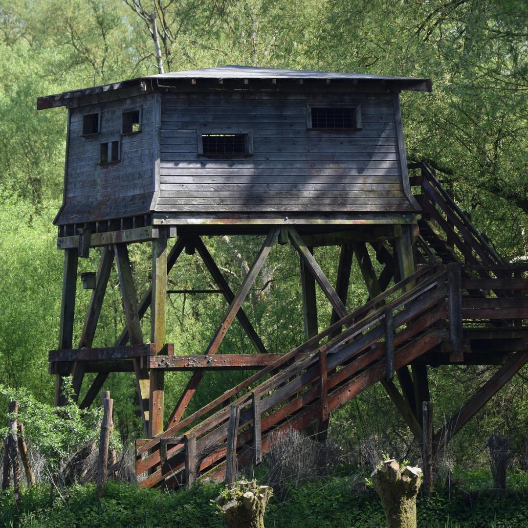 Balade découverte dans le marais de la Marque