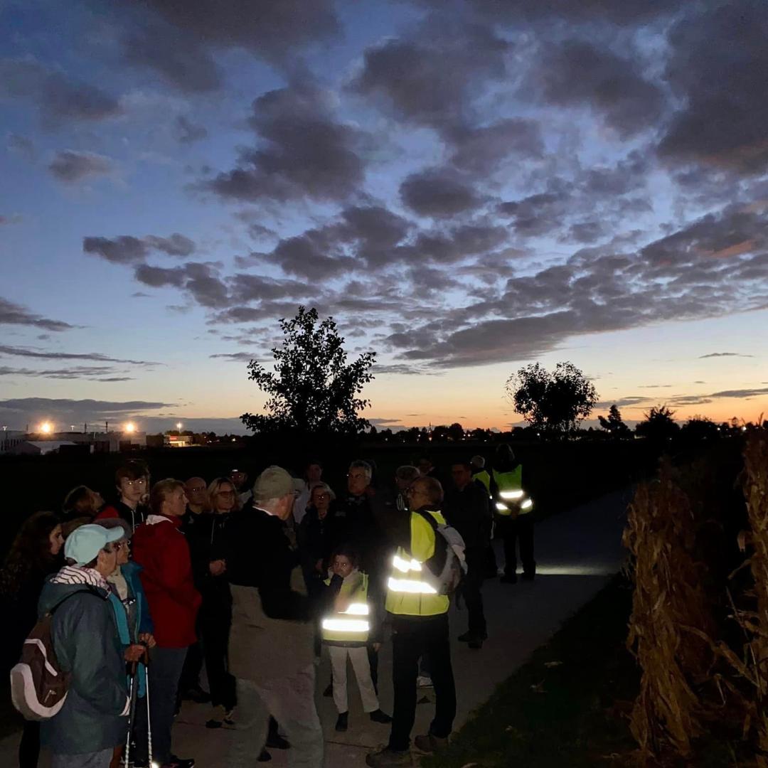 Balade nocturne autour de la plaine des Périseaux à Templemars