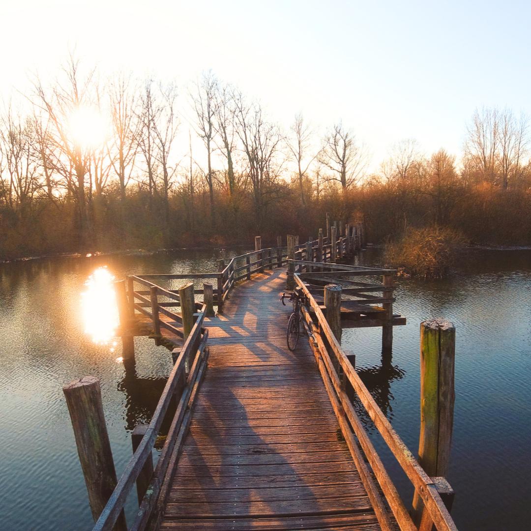 Balade automnale dans les marais de la Marque