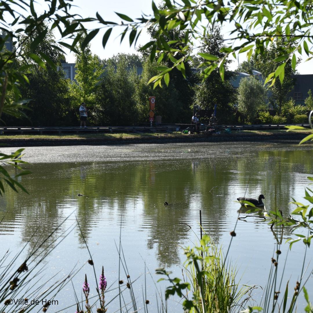 Balade découverte sur la commune de Hem